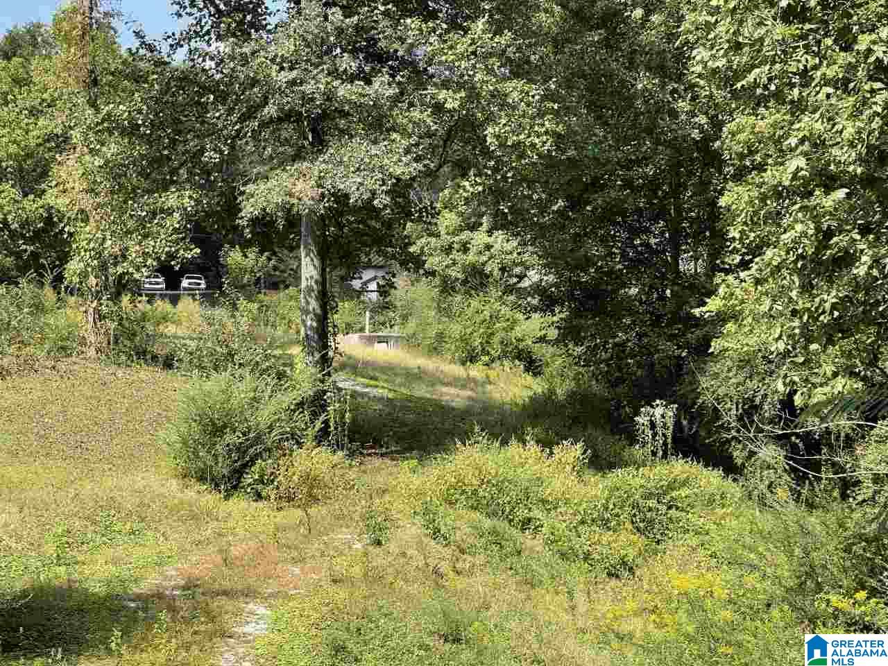 1811 Brookside Mt Olive Road, Unit 29 Mount Olive, AL 35117 - Photo 1 of 2