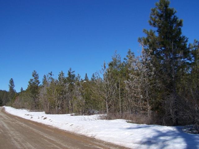 Xx Xx Middle Powers Road Loon Lake, WA 99148 - Photo 5 of 5 Gallery Image 5