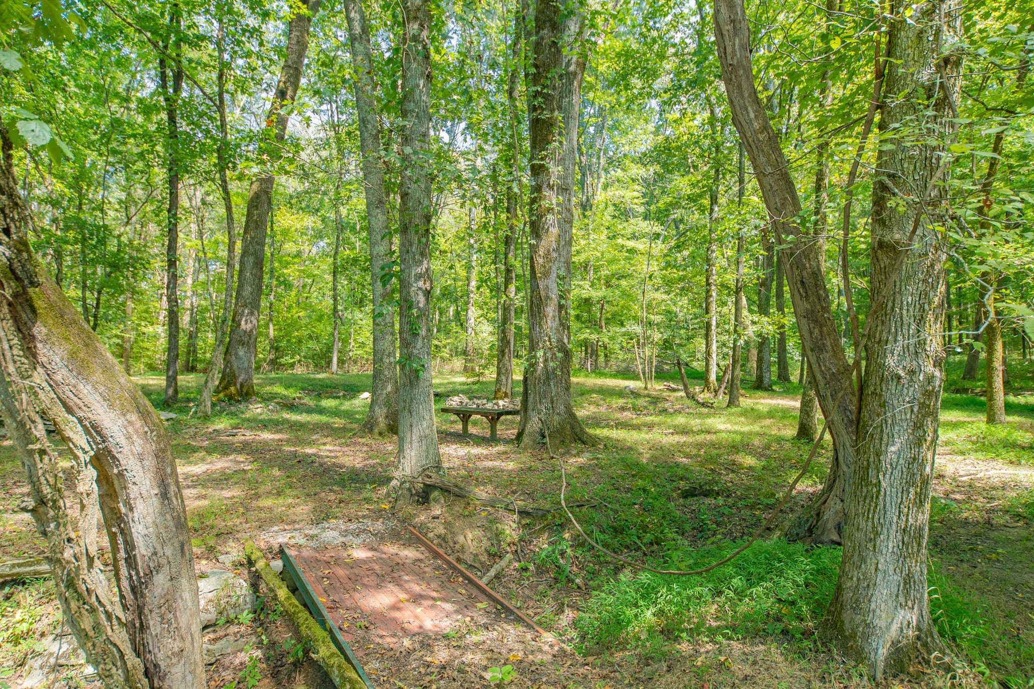 5085 Flat Creek Road Spring Hill, TN 37174 - Photo 18 of 60 Gallery Image 18