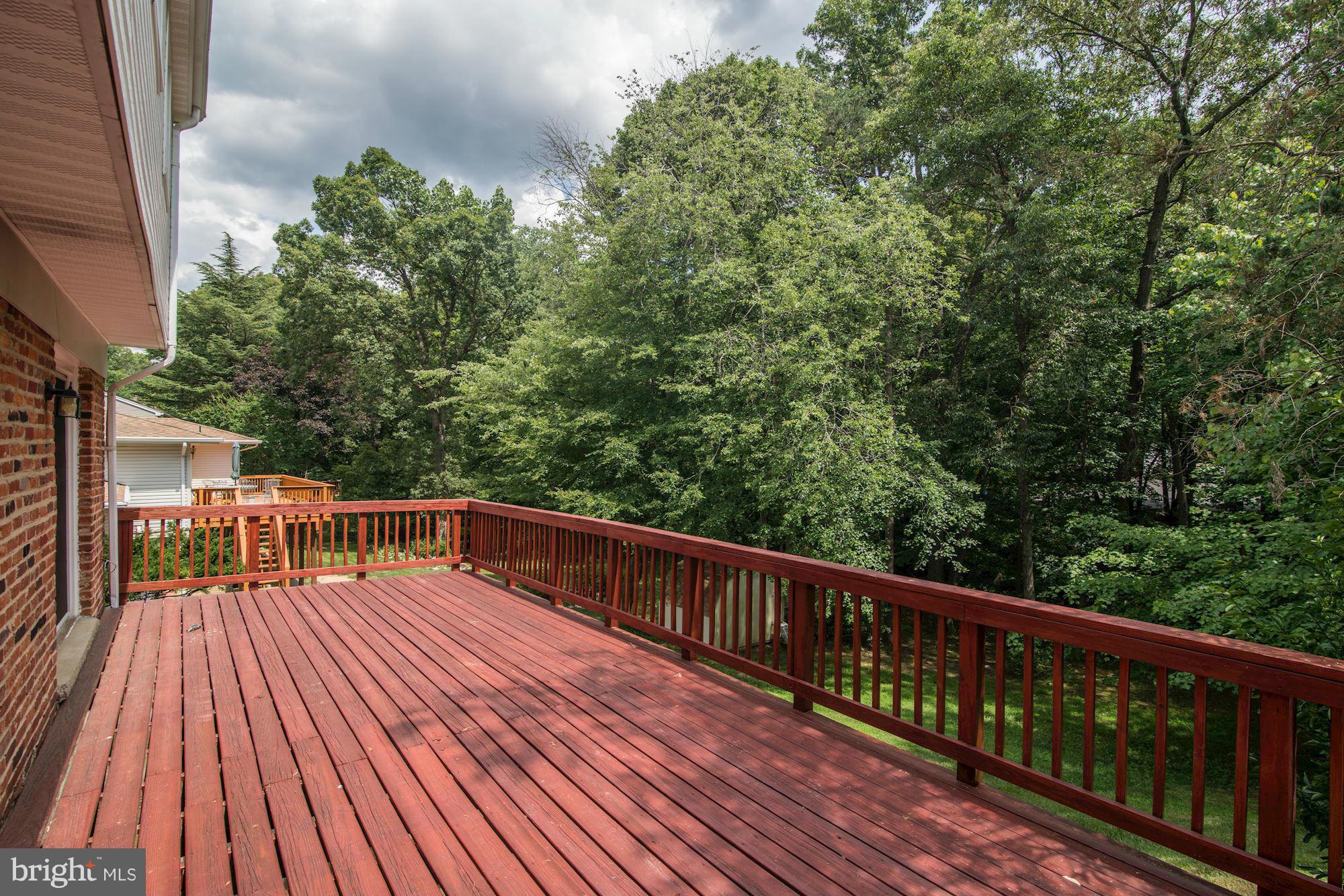 8213 Langbrook Road Springfield, VA 22152 - Photo 25 of 30 Exterior (Rear)