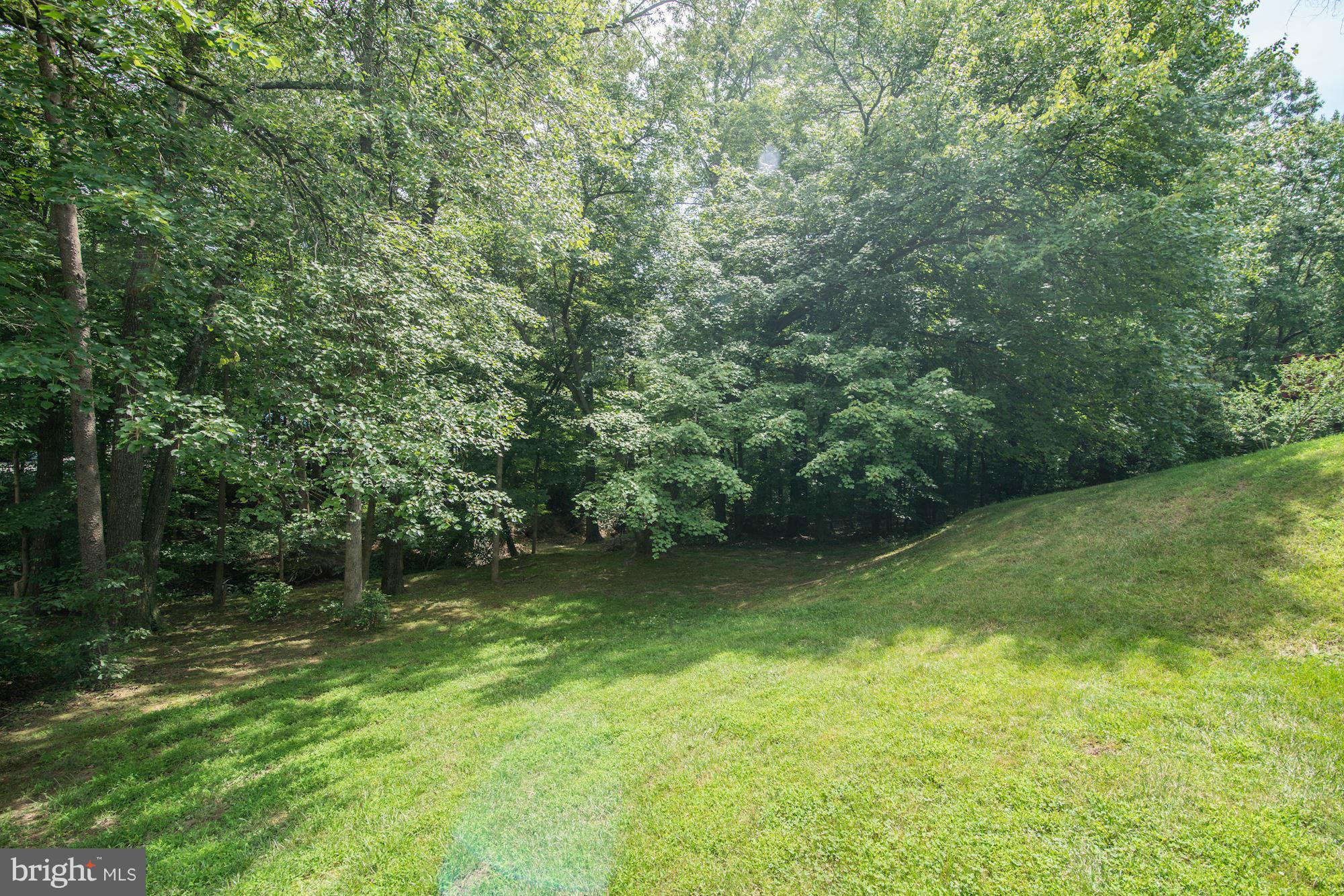 8213 Langbrook Road Springfield, VA 22152 - Photo 30 of 30 Exterior (Rear)