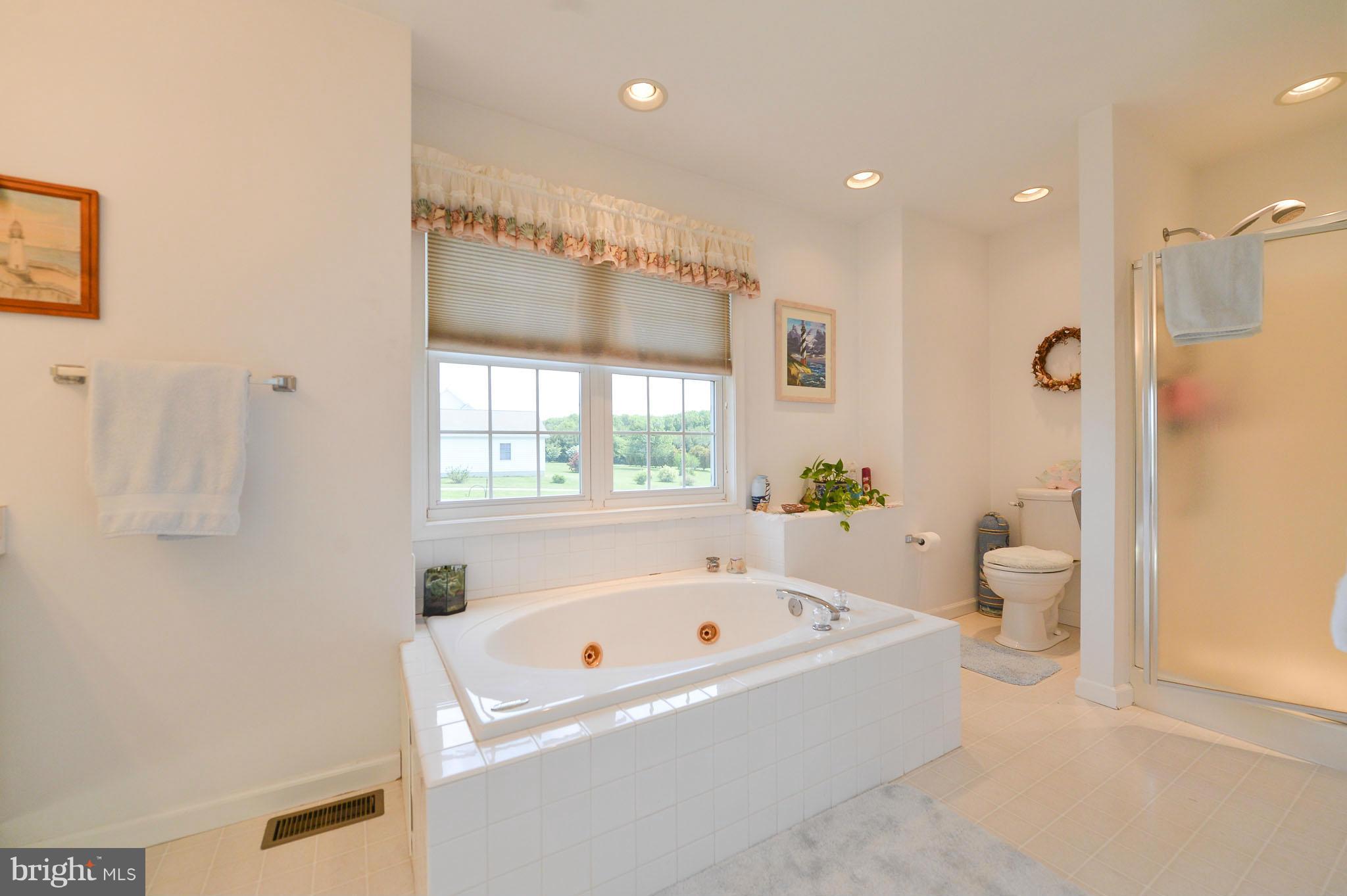 149 Clemencia Road Earleville, MD 21919 - Photo 20 of 30 Bath (Master)