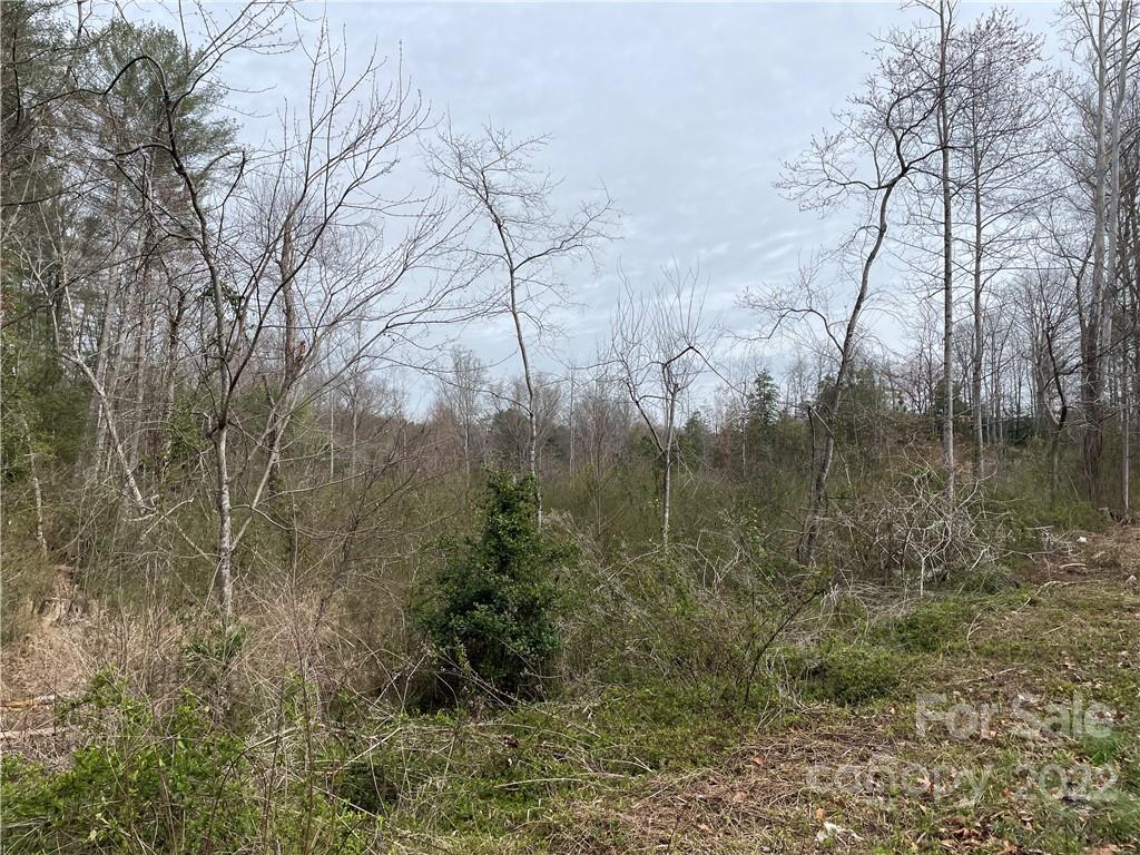 0 McCall Town Road Granite Falls, NC 28630 - Photo 2 of 3 Gallery Image 2