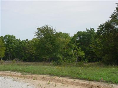 0 Jarrett Branch Road Strafford, MO 65757 - Photo 1 of 1 Primary Photo