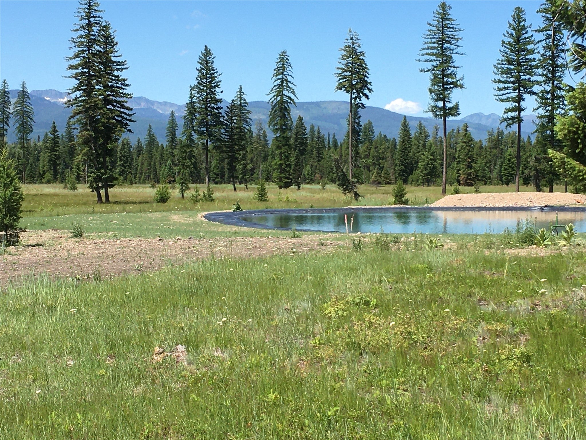 865 Remicks Road Condon, MT 59826 - Photo 7 of 23 Gallery Image 7