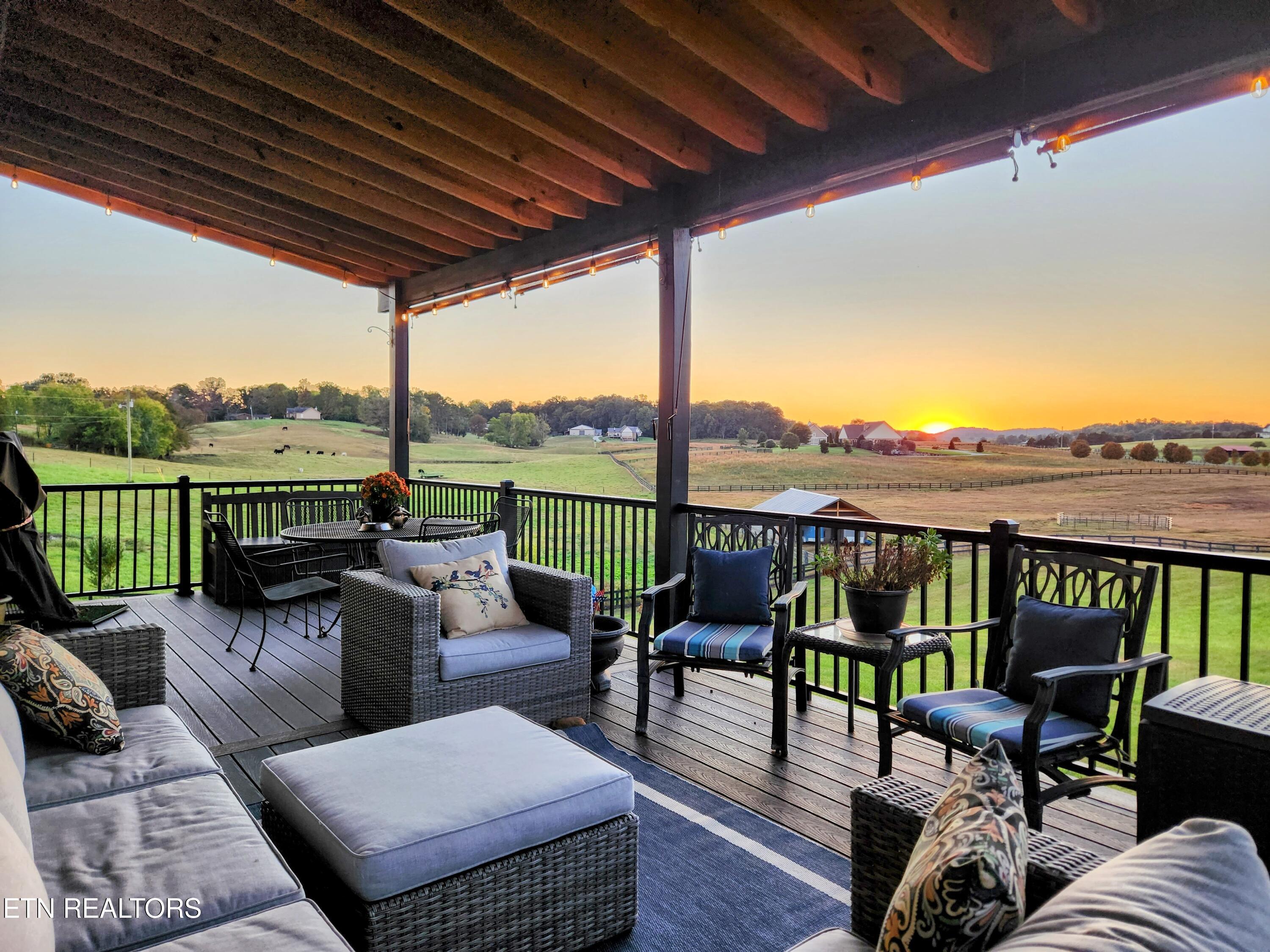 735 Ball Road White Pine, TN 37890 - Photo 44 of 60 G1