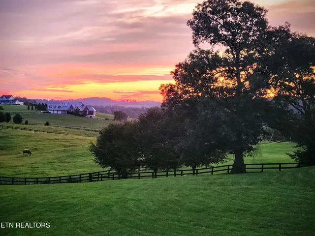 $1,050,000 | 735 Ball Road, White Pine, TN 37890