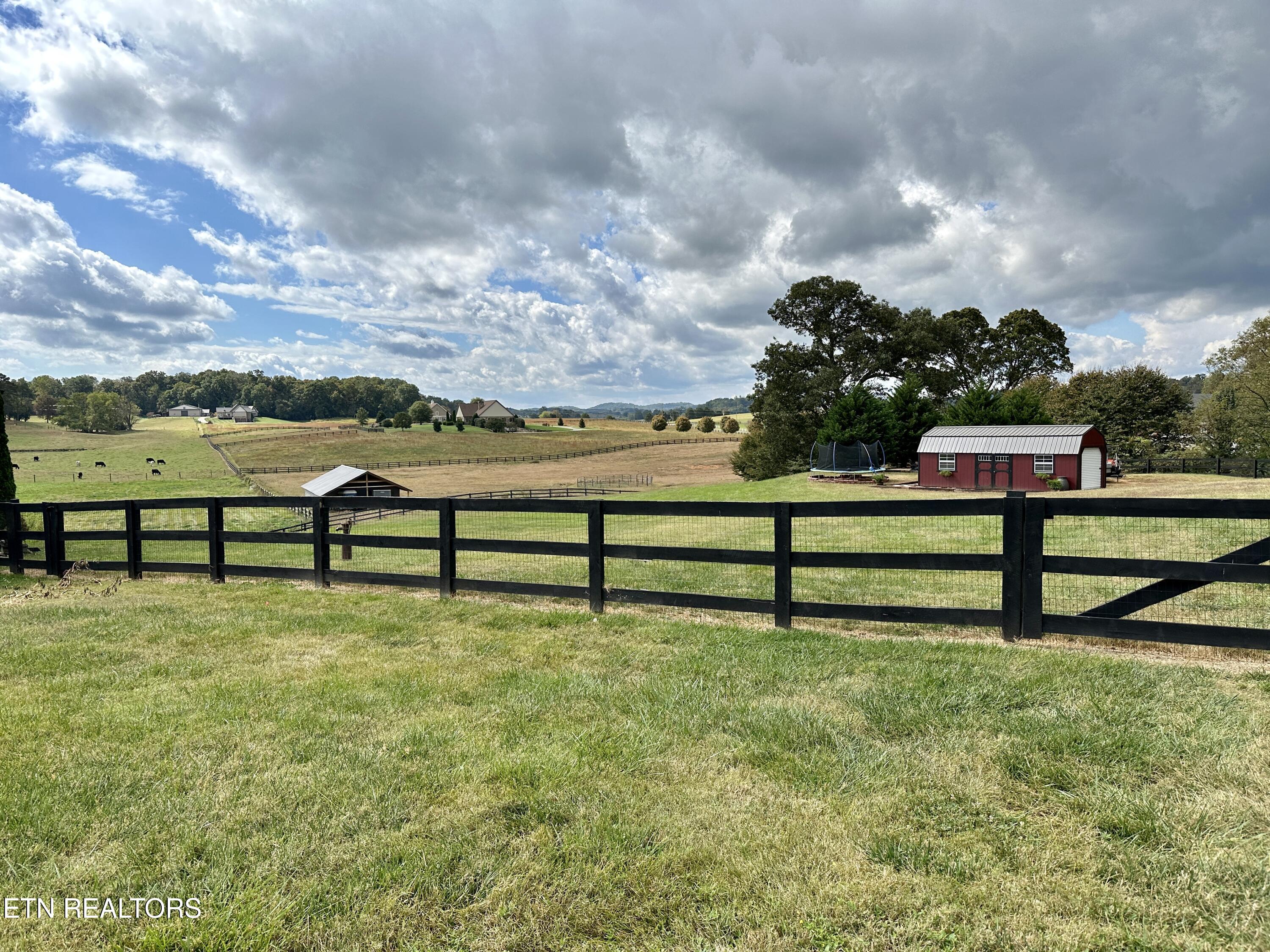 735 Ball Road White Pine, TN 37890 - Photo 52 of 60 H1