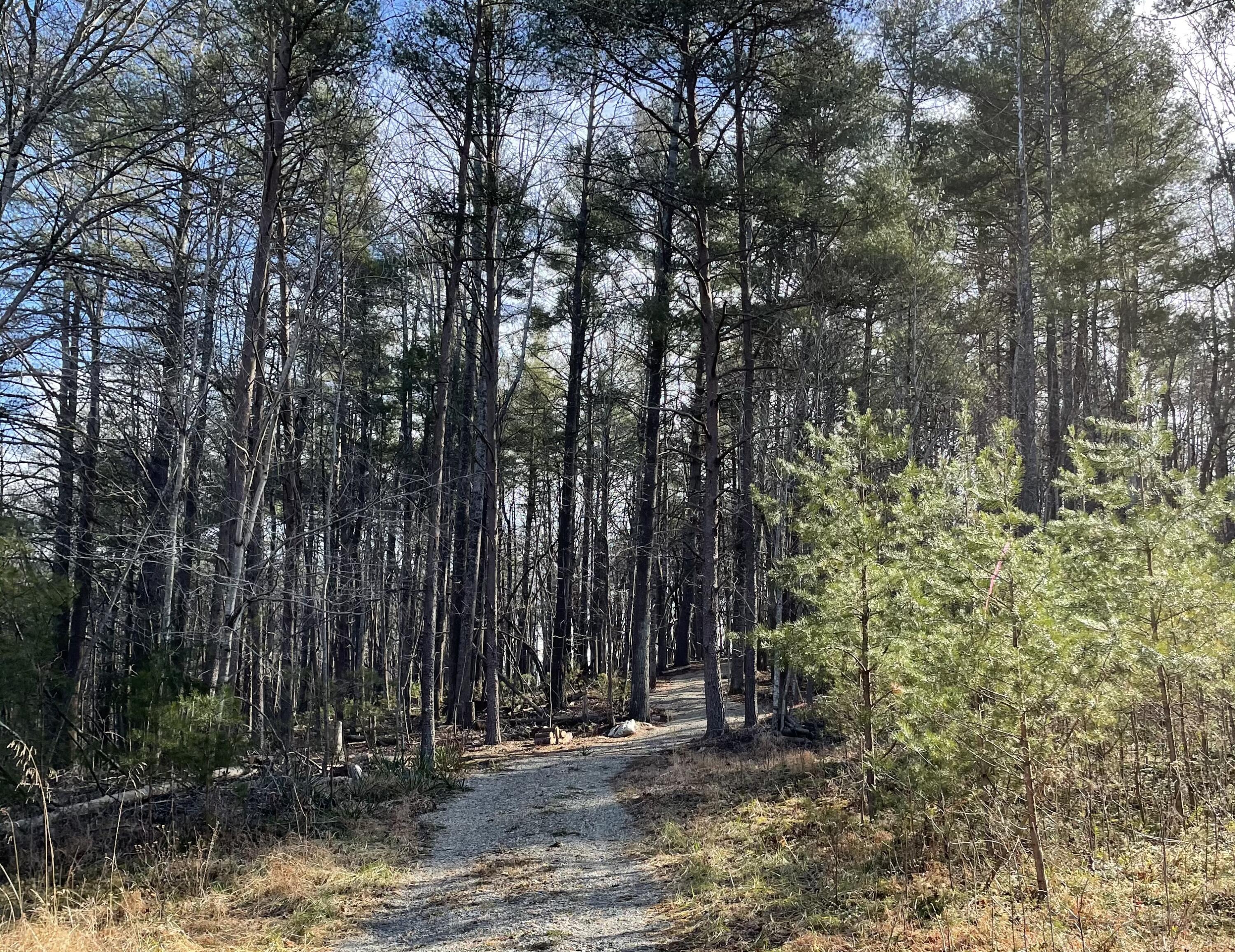 0 Bethany Road Boones Mill, VA 24065 - Photo 3 of 3 Gravel Drive