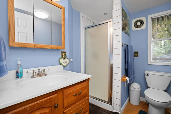 a bathroom with a sink a toilet and a shower