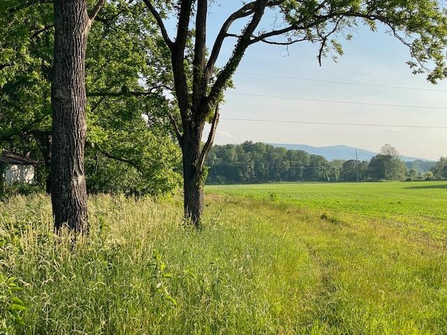 Tbd Lipscomb Road Stuarts Draft, VA 24477 - Photo 1 of 10 Gallery Image 1