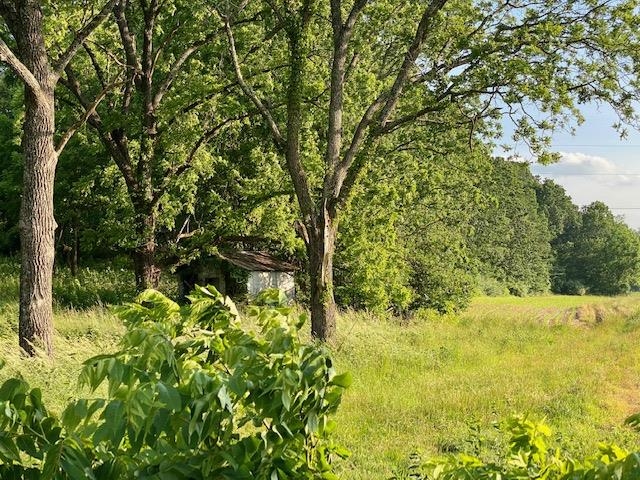 Tbd Lipscomb Road Stuarts Draft, VA 24477 - Photo 2 of 10 Gallery Image 2