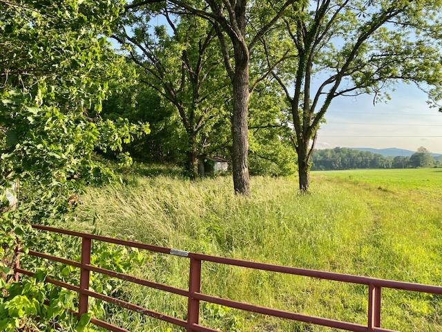 Tbd Lipscomb Road Stuarts Draft, VA 24477 - Photo 4 of 10 Gallery Image 4