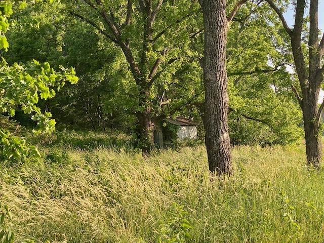 Tbd Lipscomb Road Stuarts Draft, VA 24477 - Photo 6 of 10 Gallery Image 6