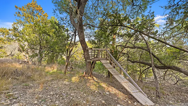 a view of a house with a garden