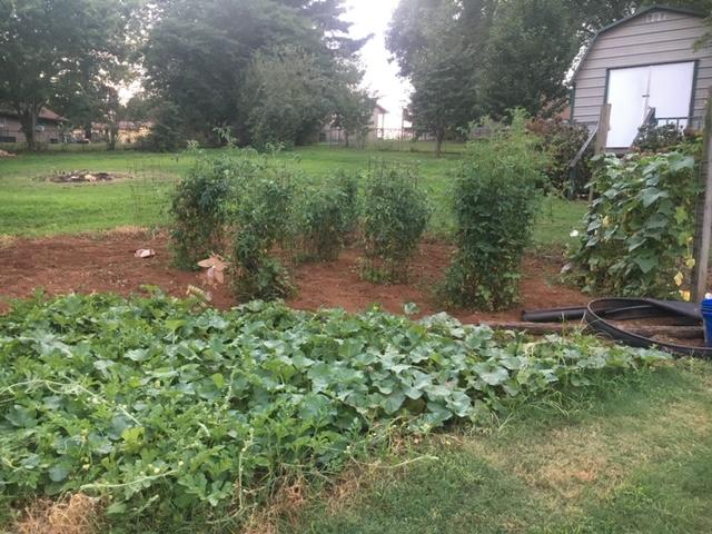 922 Cleveland Road Rossville, GA 30741 - Photo 30 of 30 922 Cleveland Dr Summer Garden Spot