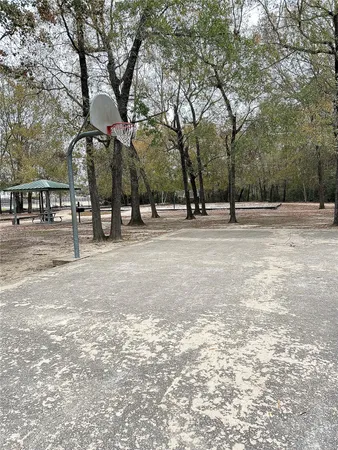 a view of road and trees
