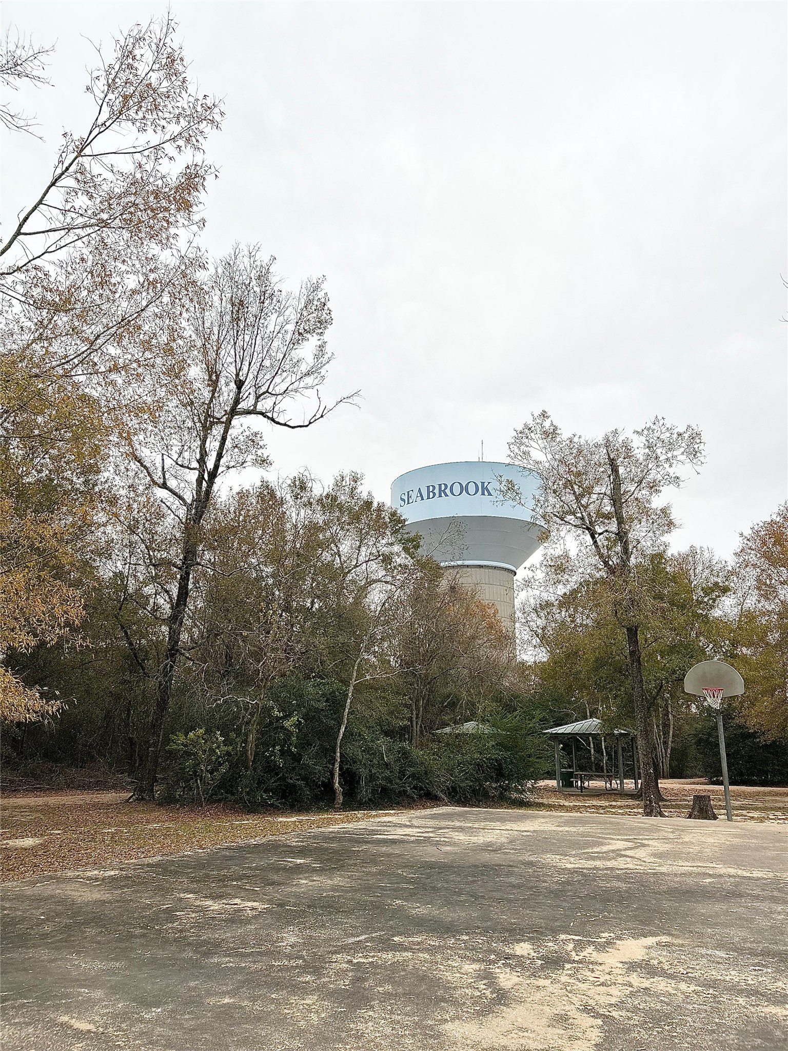 3300 Pebblebrook Drive, Unit 75 Seabrook, TX 77586 - Photo 29 of 30 a view of a water fountain and a large tree