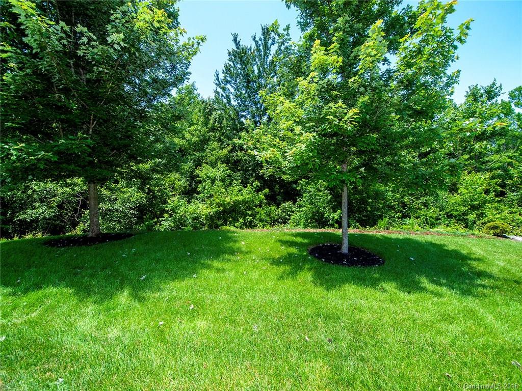 284 Sand Paver Way Fort Mill, SC 29708 - Photo 22 of 24 a view of a green field with a tree