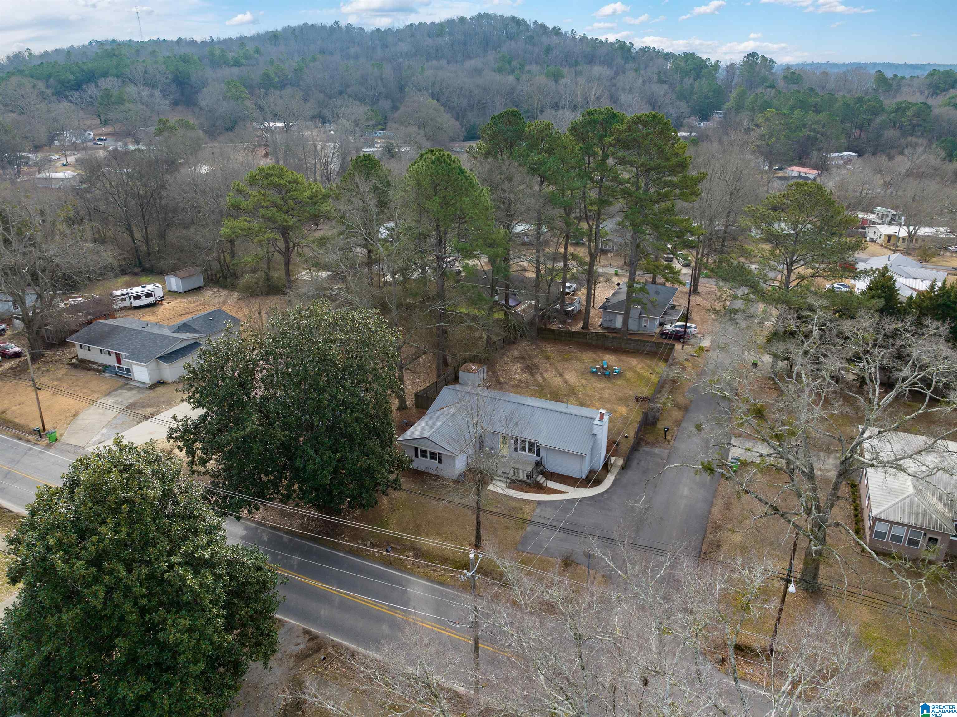 21 Bruce Street Springville, AL 35146 - Photo 4 of 43