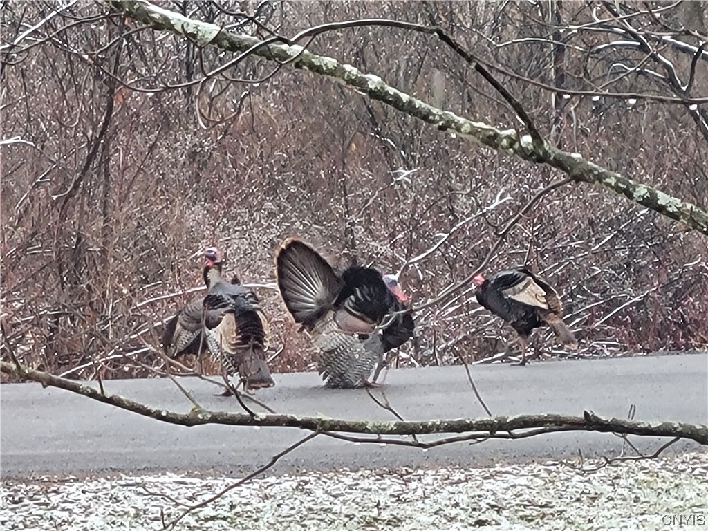 172 Brookins Road North Norwich, NY 13464 - Photo 16 of 28