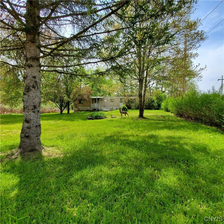 172 Brookins Road North Norwich, NY 13464 - Photo 25 of 28