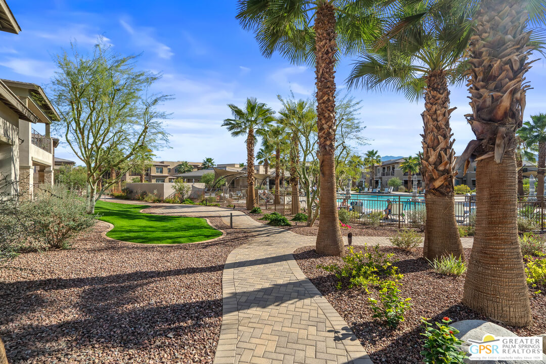 204 Retreat Circle Palm Desert, CA 92260 - Photo 55 of 60 a view of a yard with palm trees