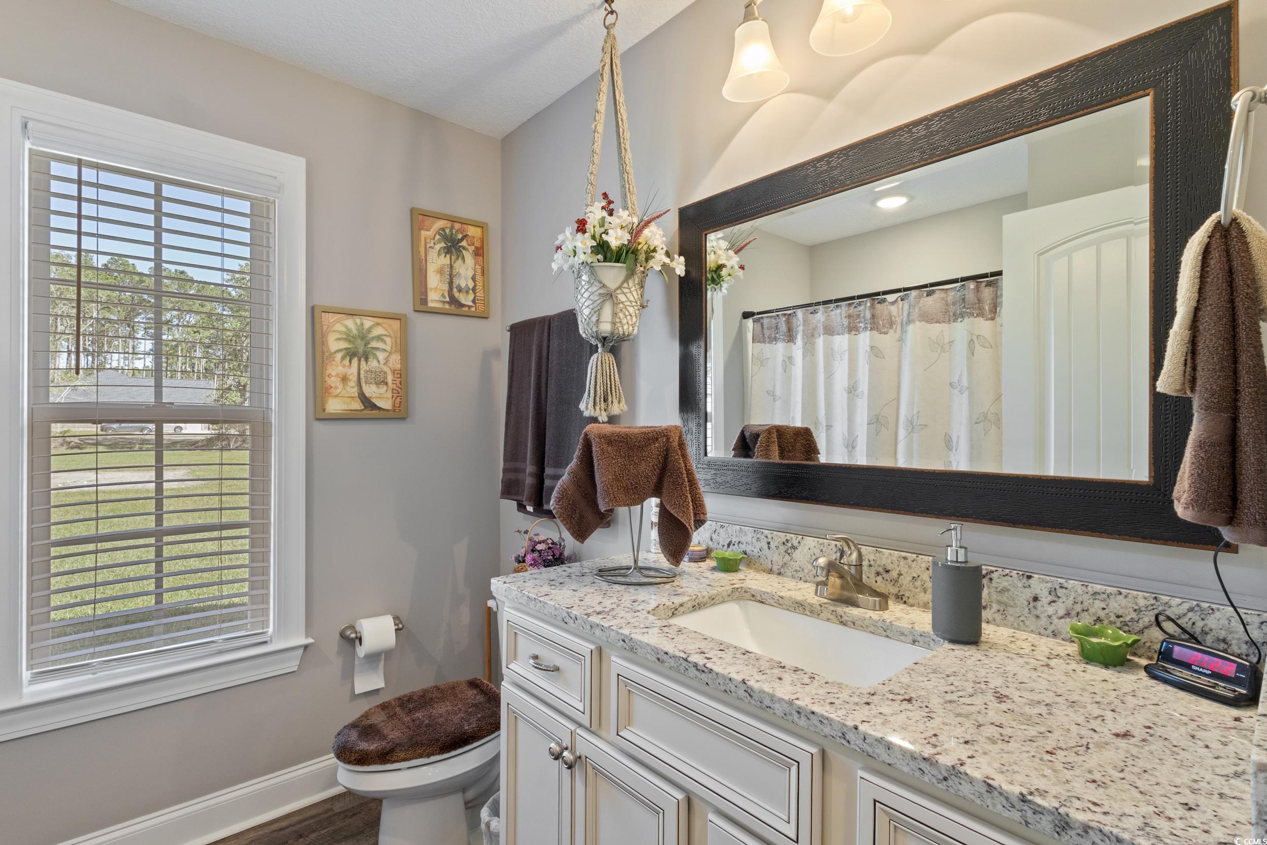 1353 Hucks Road Aynor, SC 29511 - Photo 26 of 40 Bathroom with vanity, plenty of natural light, dark wood finished floors, and a shower with shower curtain