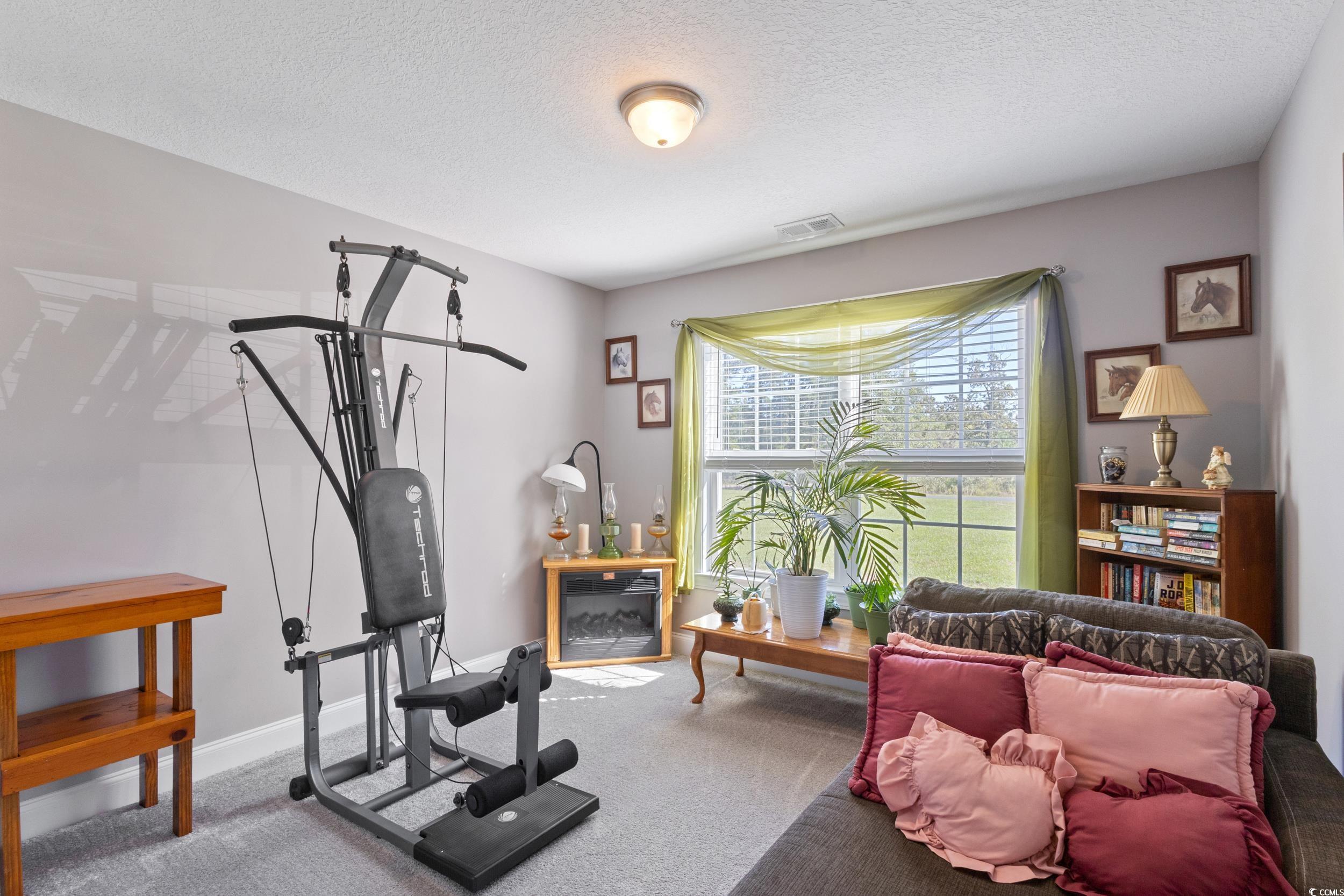 1353 Hucks Road Aynor, SC 29511 - Photo 29 of 40 Exercise area featuring a textured ceiling and carpet floors