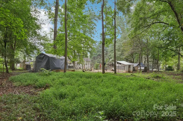 a view of outdoor space with tree s