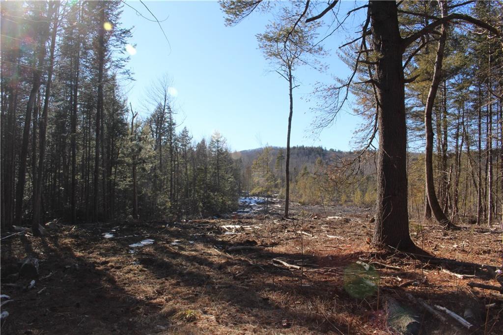 1419 Belfast Road Knox, ME 04986 - Photo 4 of 23 Walk out the back yard to Frye Mountain!