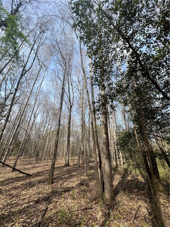 5 Griffin Mill Road Pickens, SC 29671 - Photo 2 of 9