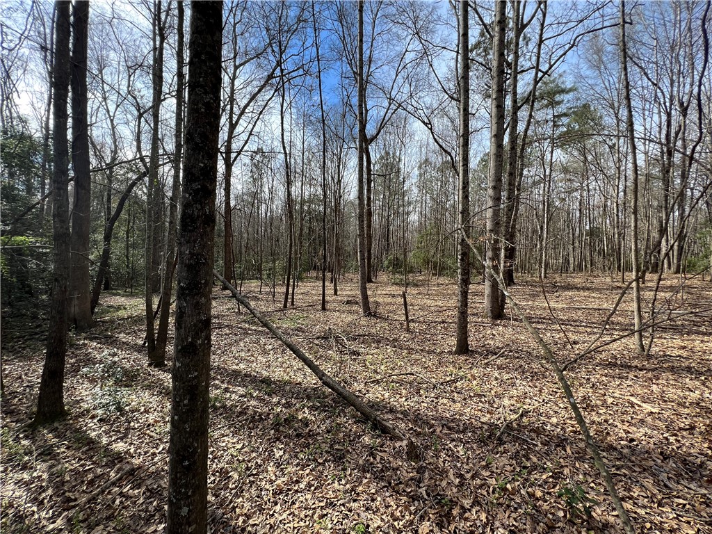5 Griffin Mill Road Pickens, SC 29671 - Photo 3 of 9