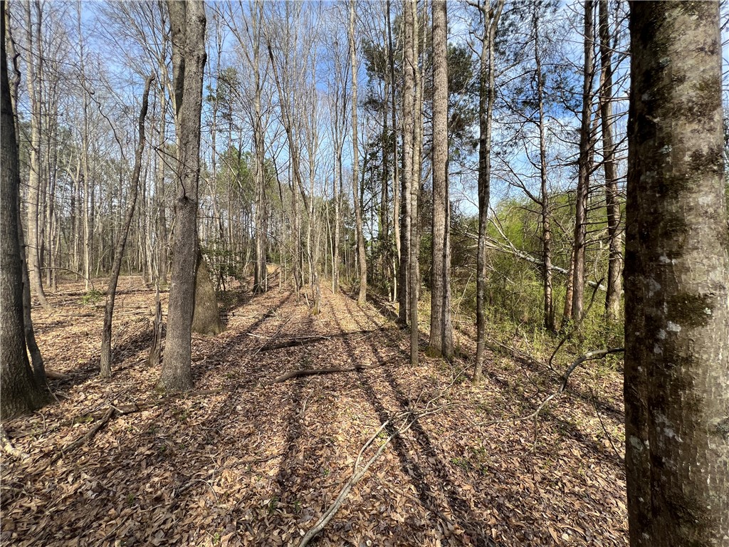 5 Griffin Mill Road Pickens, SC 29671 - Photo 4 of 9