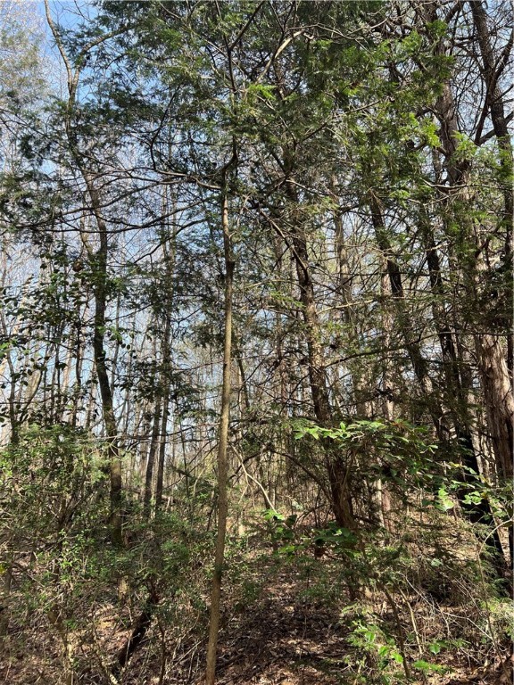 5 Griffin Mill Road Pickens, SC 29671 - Photo 8 of 9