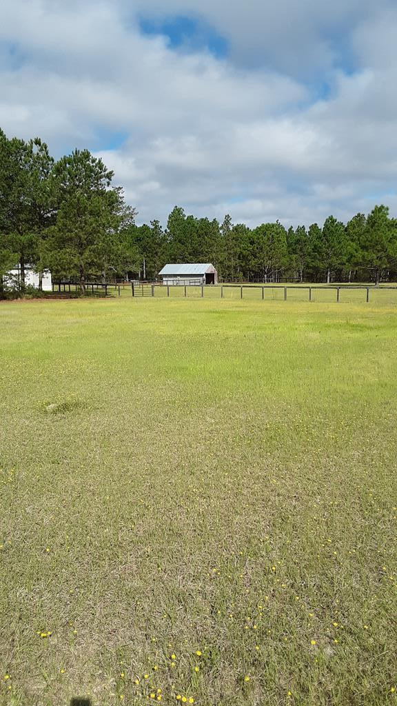 980 Kedron Church Road Aiken, SC 29805 - Photo 30 of 30