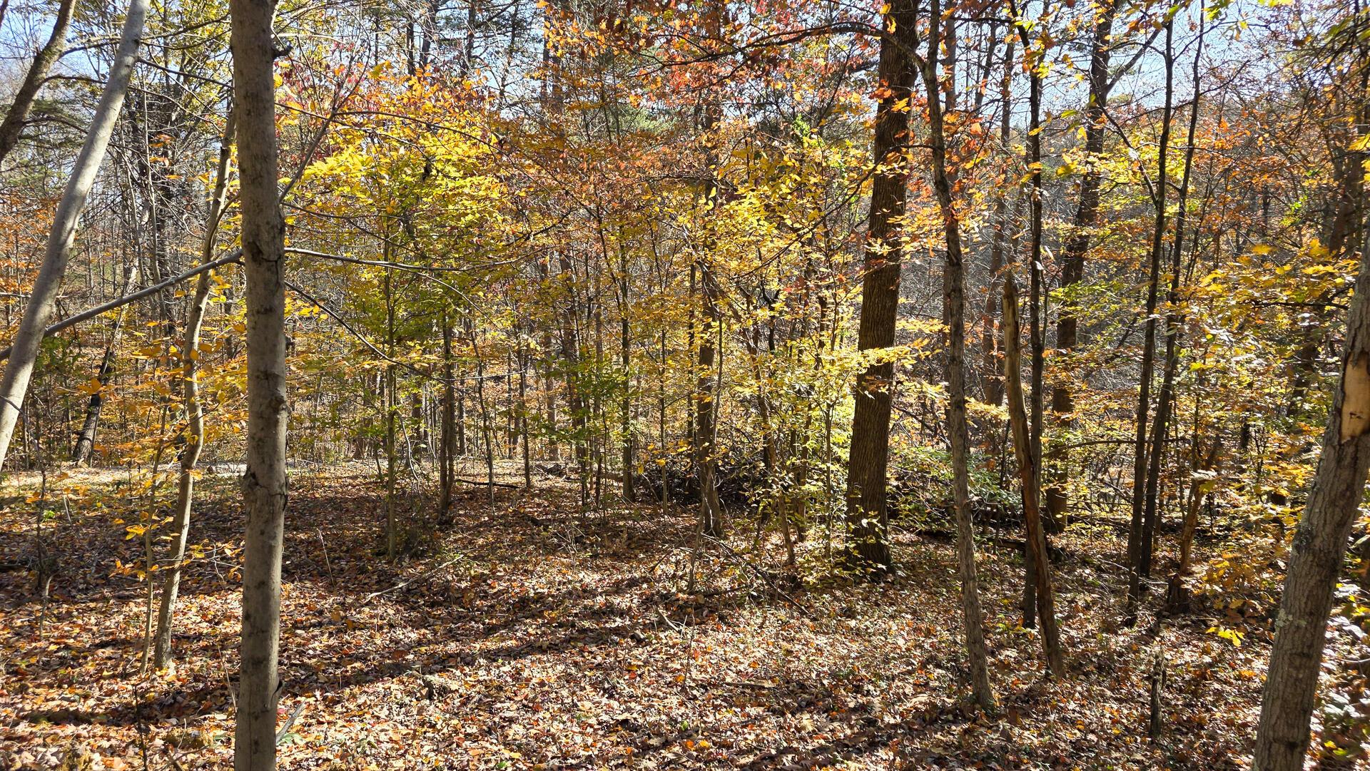 908 Nibert Road, Unit PONDS POPLAR RIDGE TRACT 2) Gallipolis, OH 45631 - Photo 18 of 25 CT-18