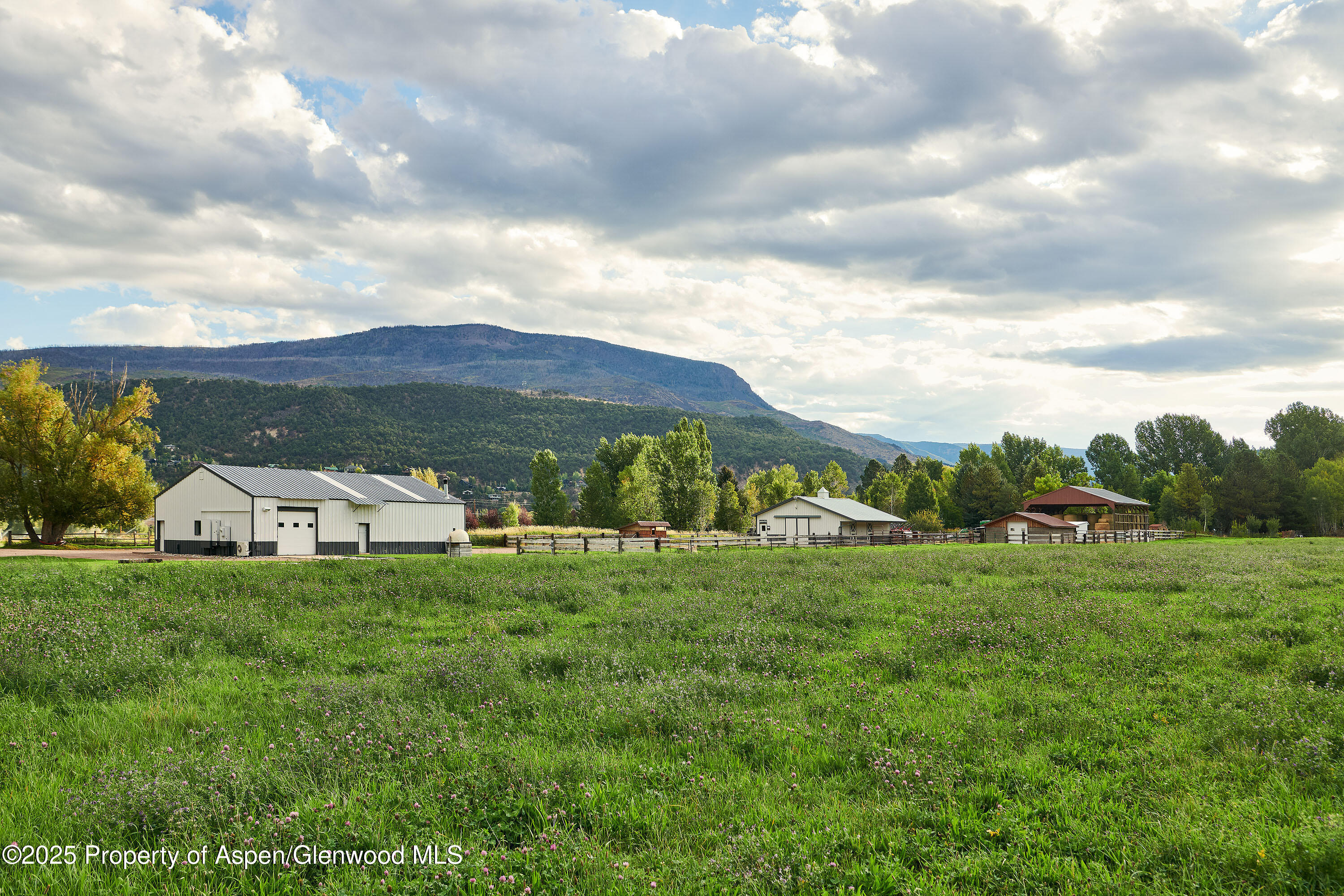 2700 Emma Road Basalt, CO 81621 - Photo 27 of 36 a view of a house with a big yard