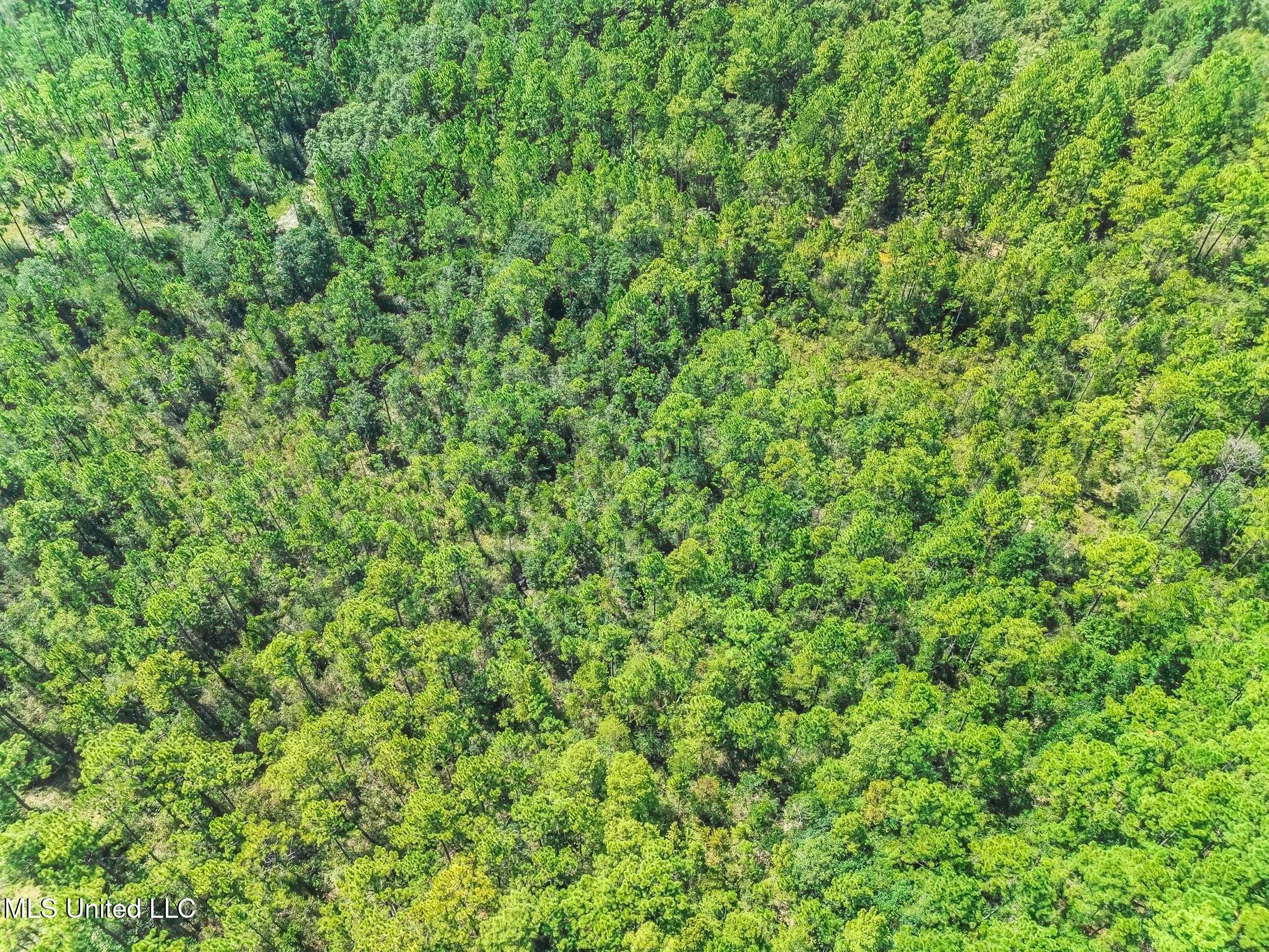 Schanbacher Road Gulfport, MS 39503 - Photo 13 of 13 DJI_0359