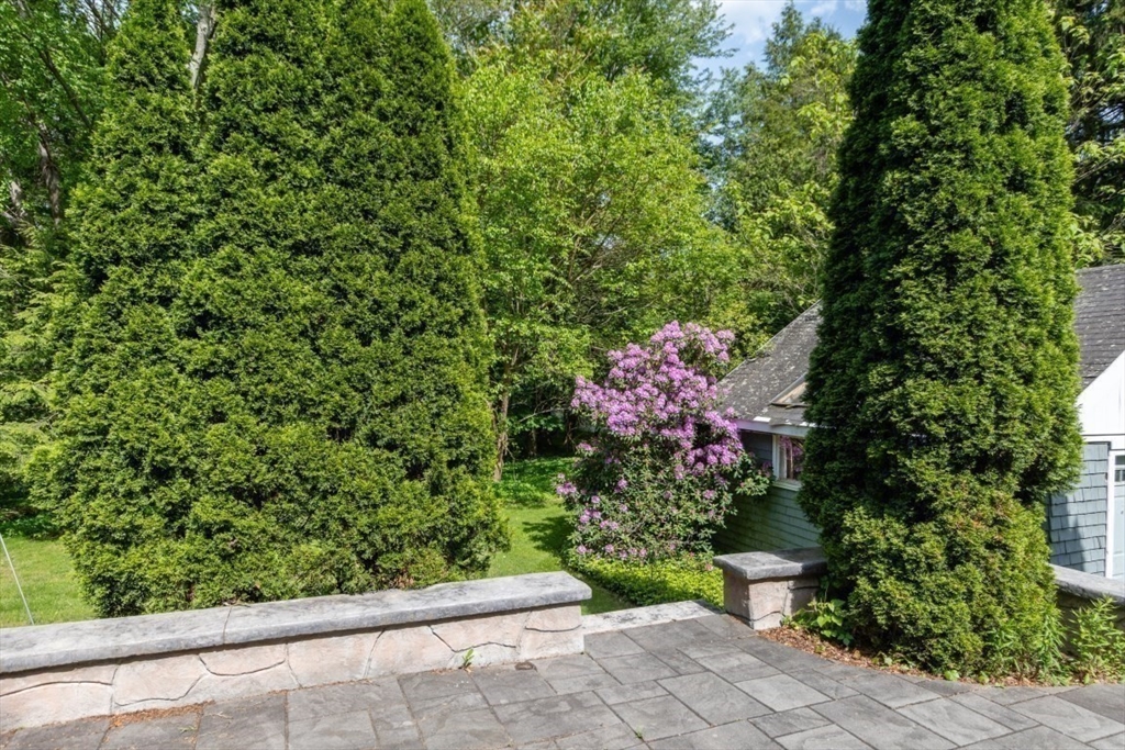 6 Willow Street Wellesley, MA 02481 - Photo 30 of 37