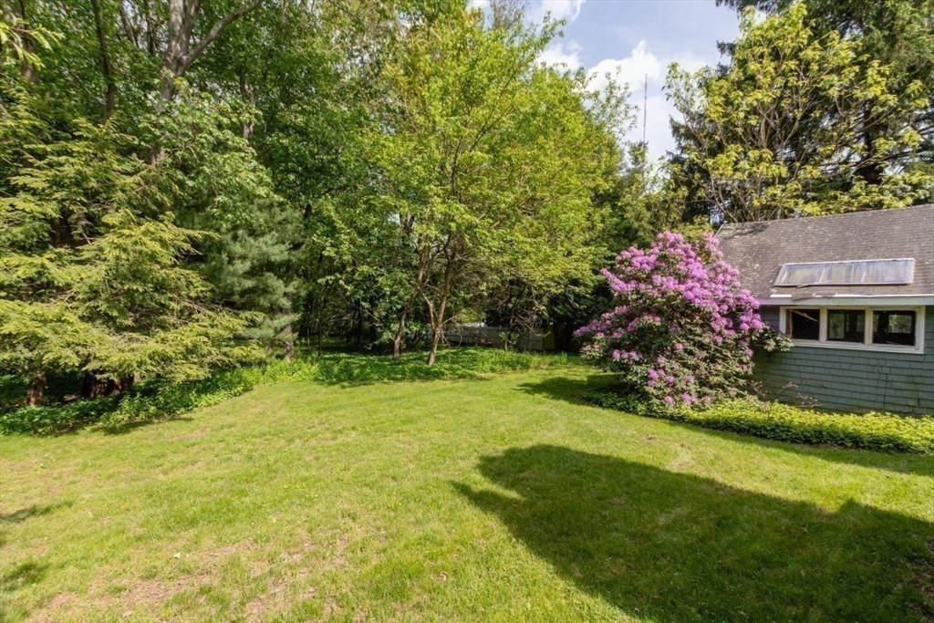 6 Willow Street Wellesley, MA 02481 - Photo 32 of 37