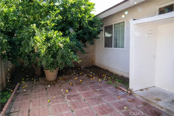 a view of a backyard with plants and trees