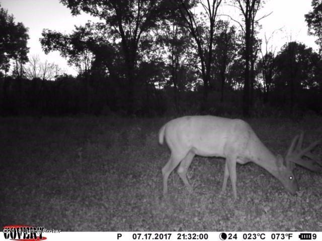 3310 Greens Chapel Road Bloomfield, KY 40008 - Photo 18 of 25 24
