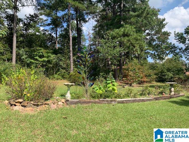 1112 Mountain Brook Road Oxford, AL 36203 - Photo 35 of 50