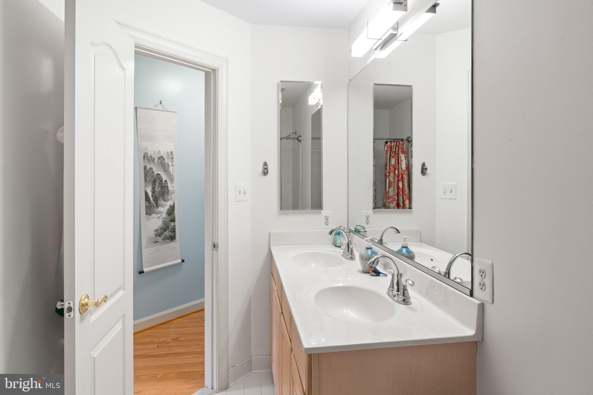 150 Rees Place Falls Church, VA 22046 - Photo 38 of 47 a bathroom with a sink and a mirror