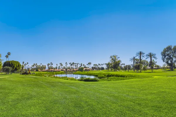 a garden view with a fountain