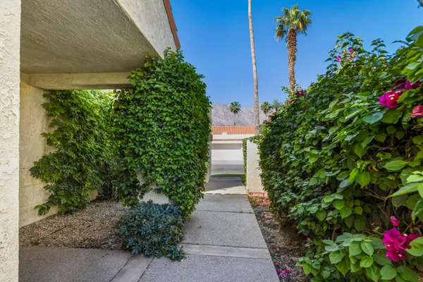 a view of a pathway with a flower garden