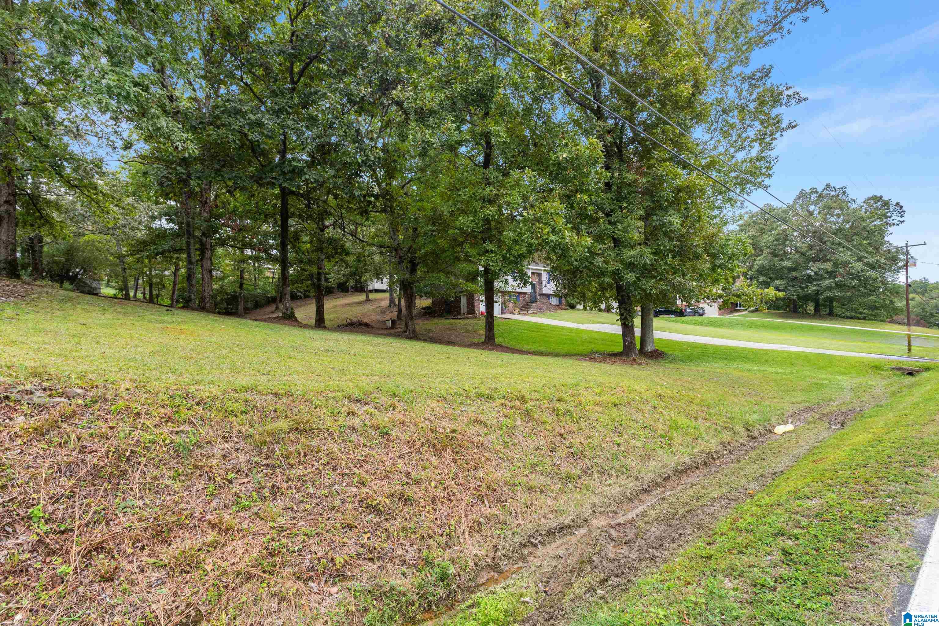 9708 Bradford Trafford Road Warrior, AL 35180 - Photo 27 of 41