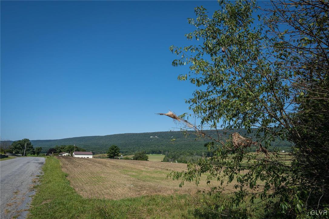 view from treeline from southeast corner