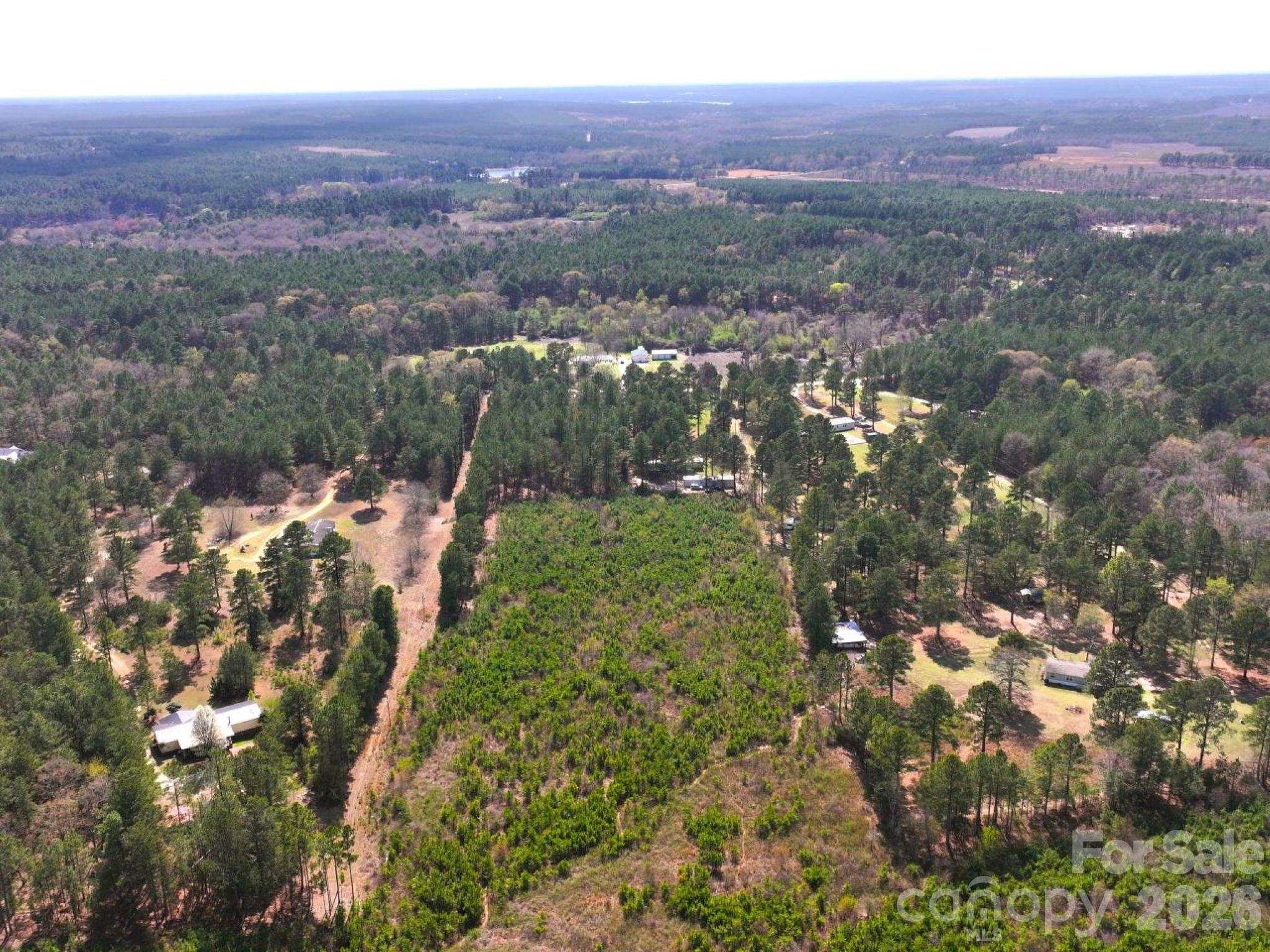 415 Hawkins Road Hartsville, SC 29550 - Photo 3 of 9 a view of a city with mountain